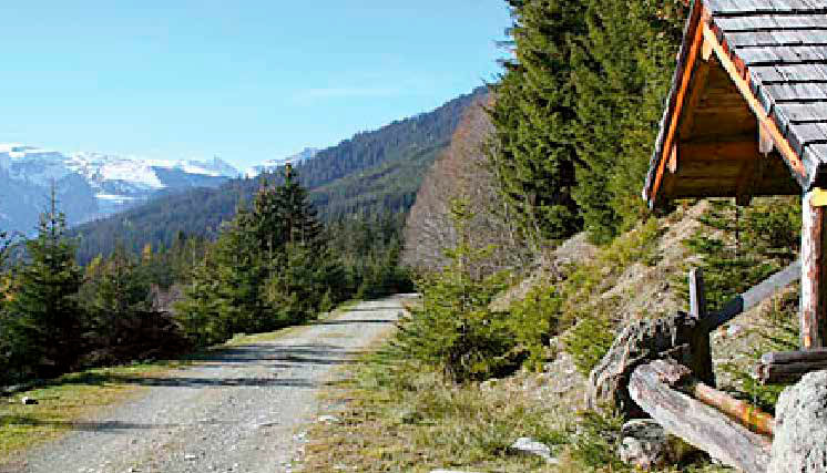 Yoga und Wandern in Mittersill Yoga und Wandern im Allgäu